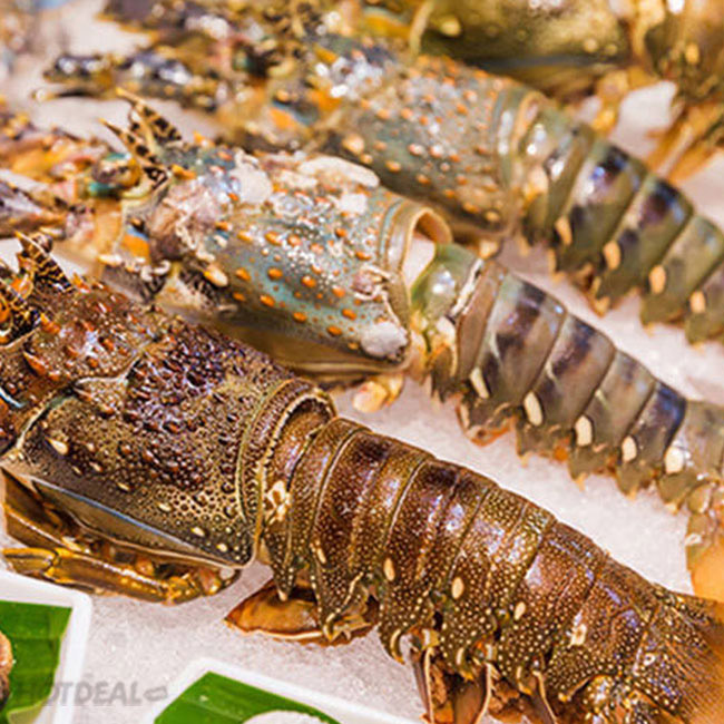 Sài Gòn Prince Hotel 4* - Buffet Tối Thứ 6 & Thứ 7 Tôm Hùm, Hải Sản, Cua, Ghẹ, Hàu Không Giới Hạn – Free Flow Nước Ngọt, Bia Ly, Đã Gồm VAT