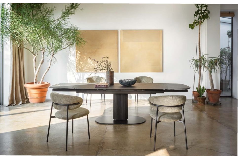 Cameo Cameo.jpg Cameo