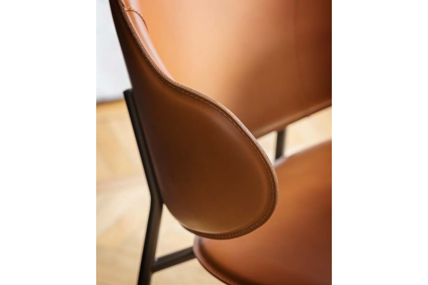 holly leather2 holly leather2.jpg Holly