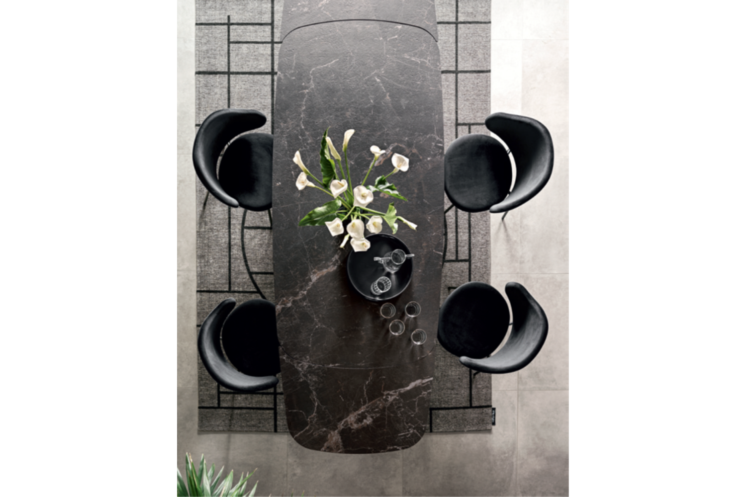 Cameo Top P18C.png Cameo Ext Top View P18C Cameo%20Top%20P18C.png