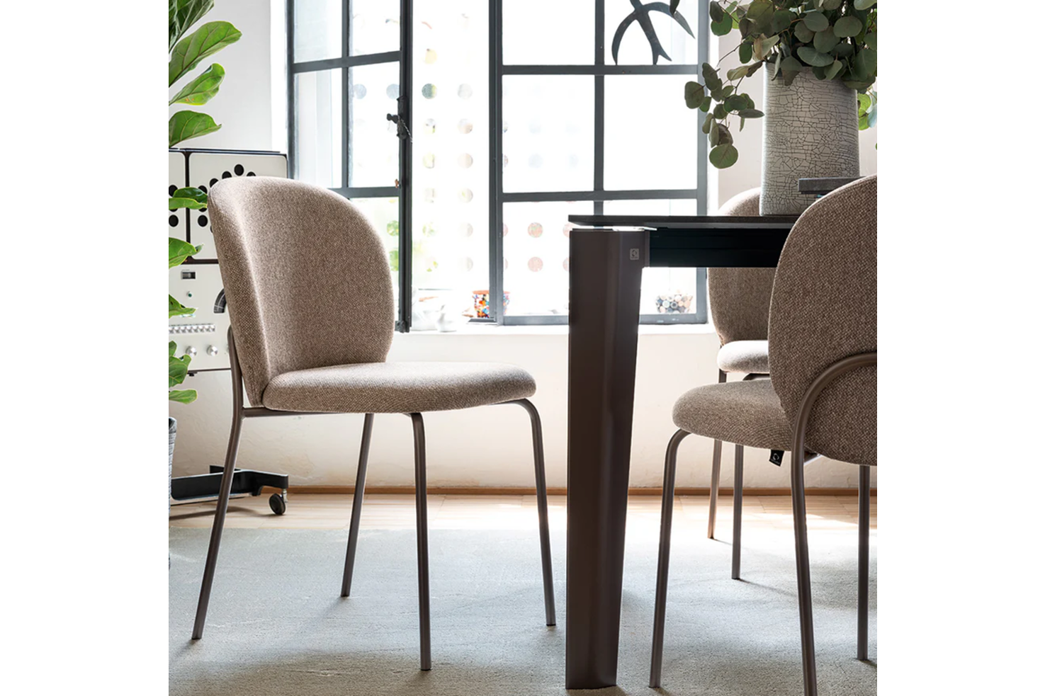 Cozy 3 Cozy 3.png Cozy Mid