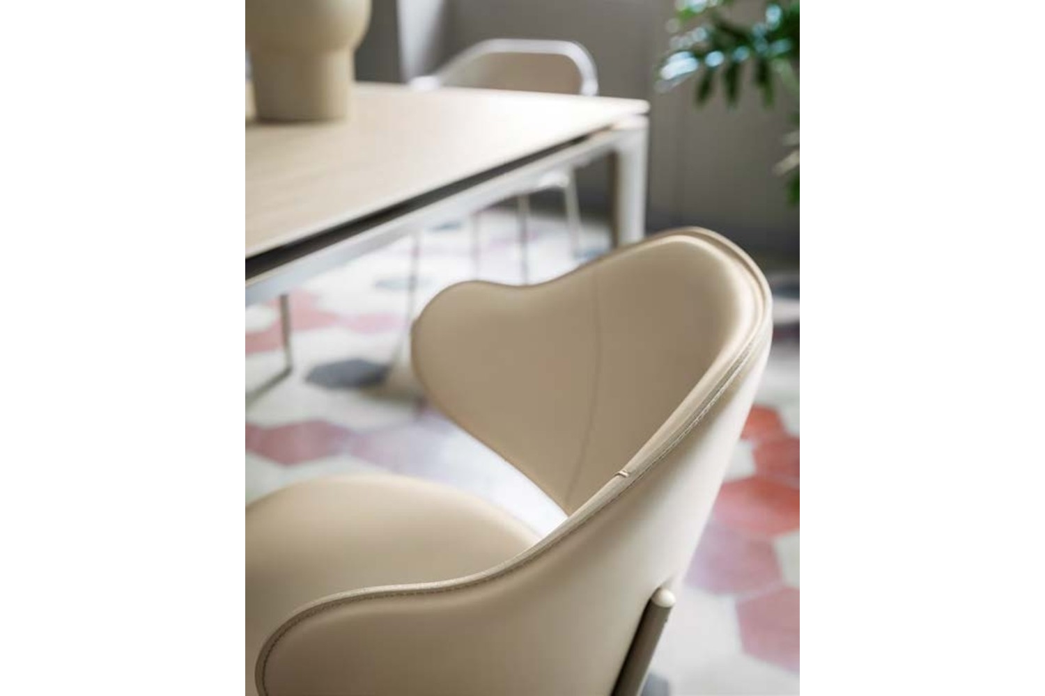 Holly leather 2 Holly leather 2.jpg Holly