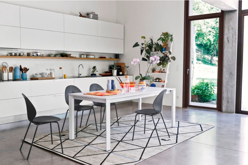 cs4089 R P94 P22W cs1359 P16 cs4089-R_P94_P22W_cs1359_P16.jpg Basil