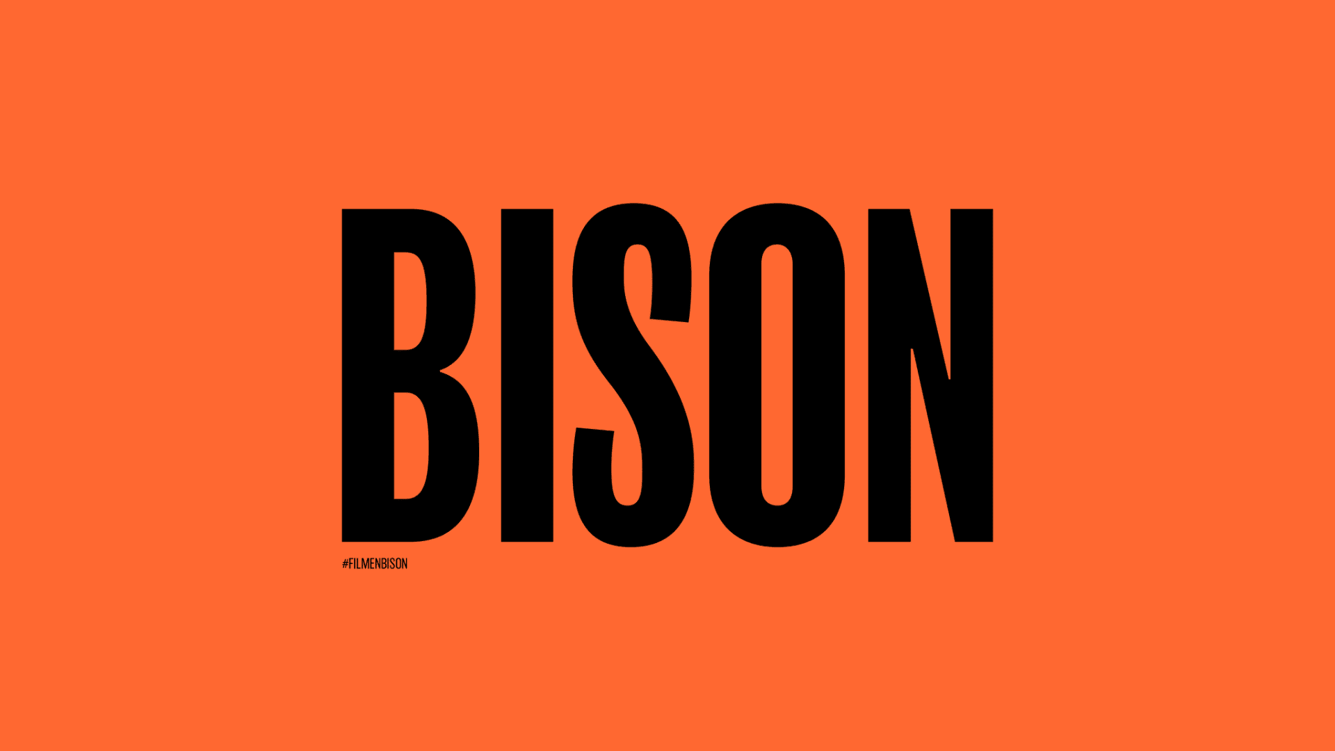 Bison