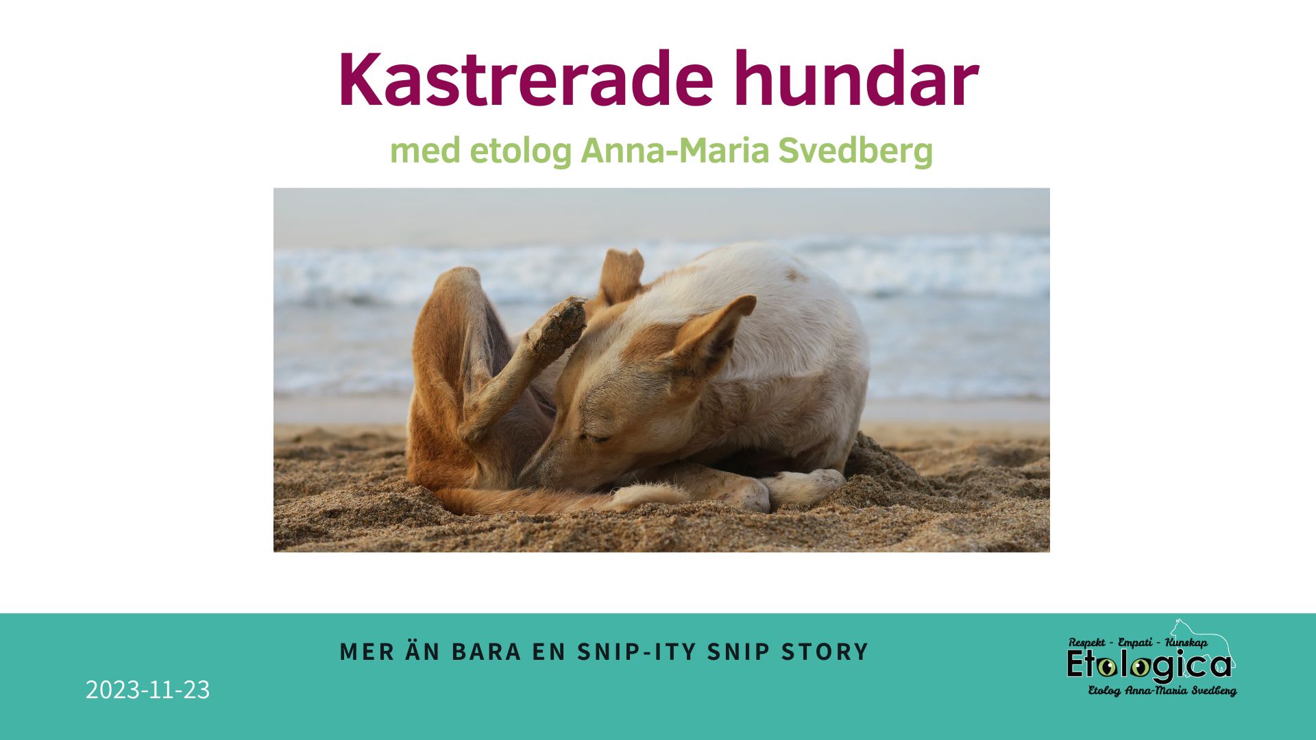 Kastrerade hundar - Mer än bara en snipity snap story