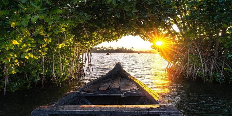 Kayaking in Munroe Island