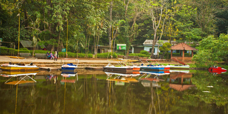 pookode lake wayanad