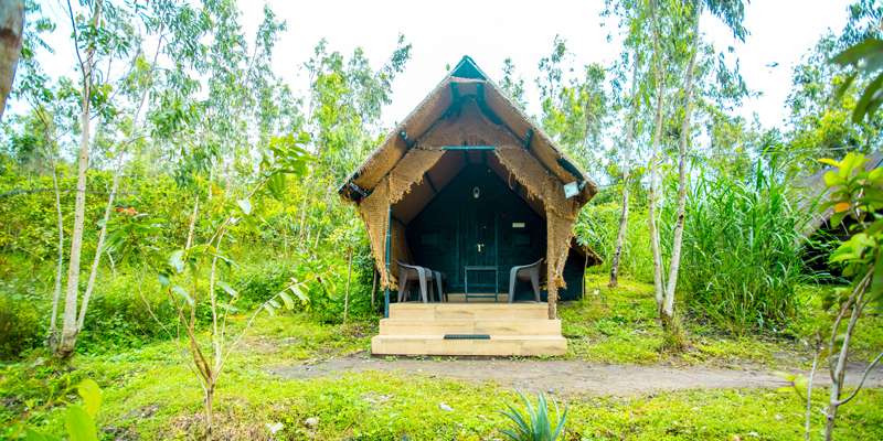 cave resort in kerala