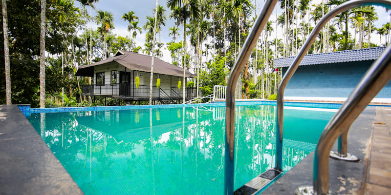 Top Resorts In Wayanad With Swimming Pool Voye Homes 8840