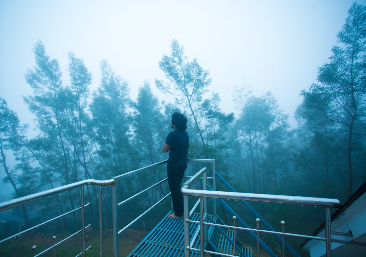 Treehouse in Munnar