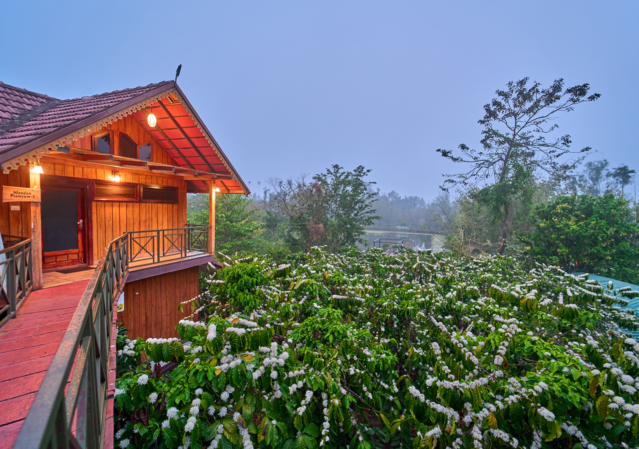 good resorts in wayanad