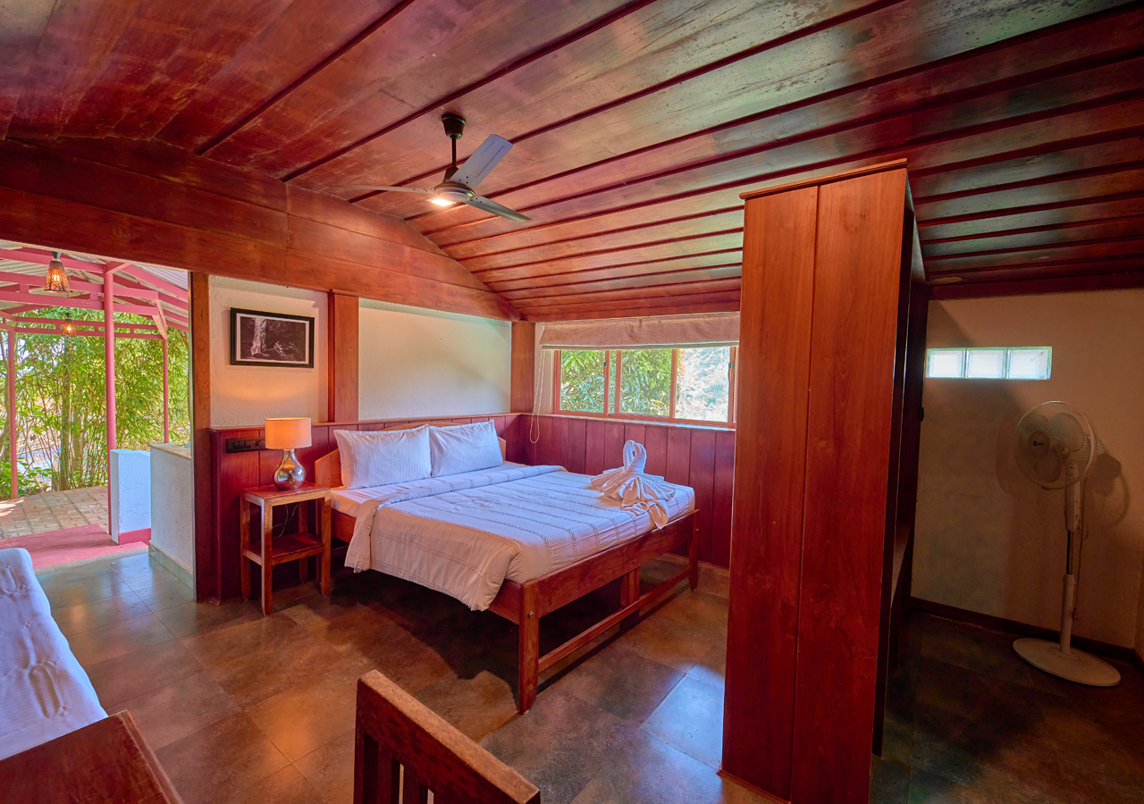 premium rooms in munnar