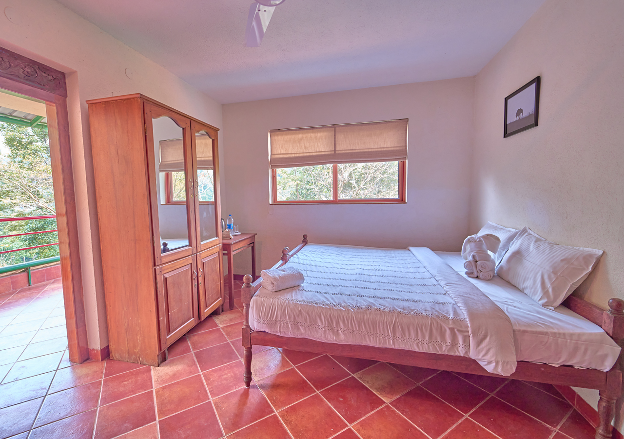 stays in munnar