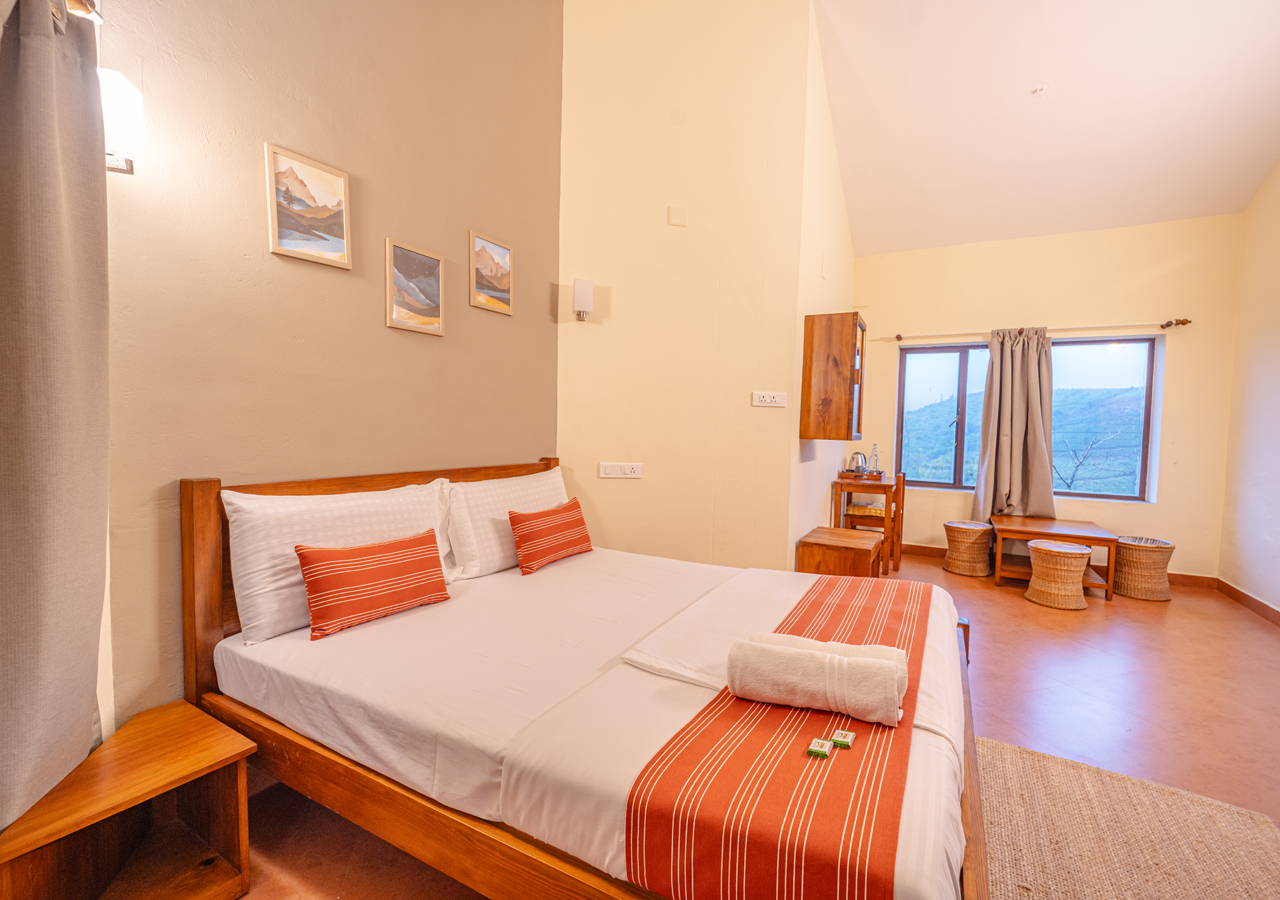 hill view room vagamon
