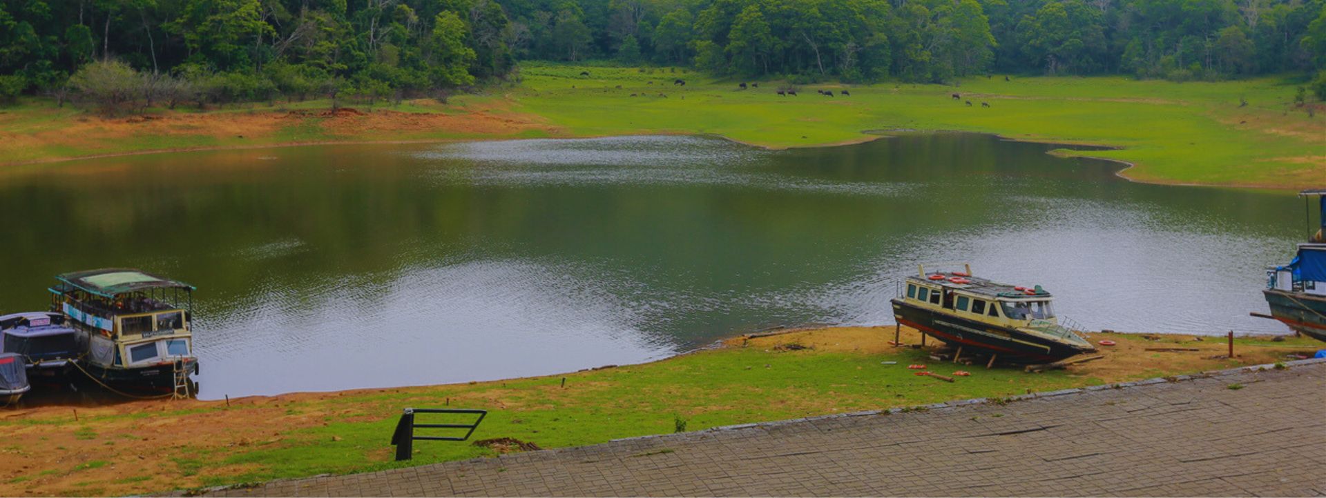 Thekkady