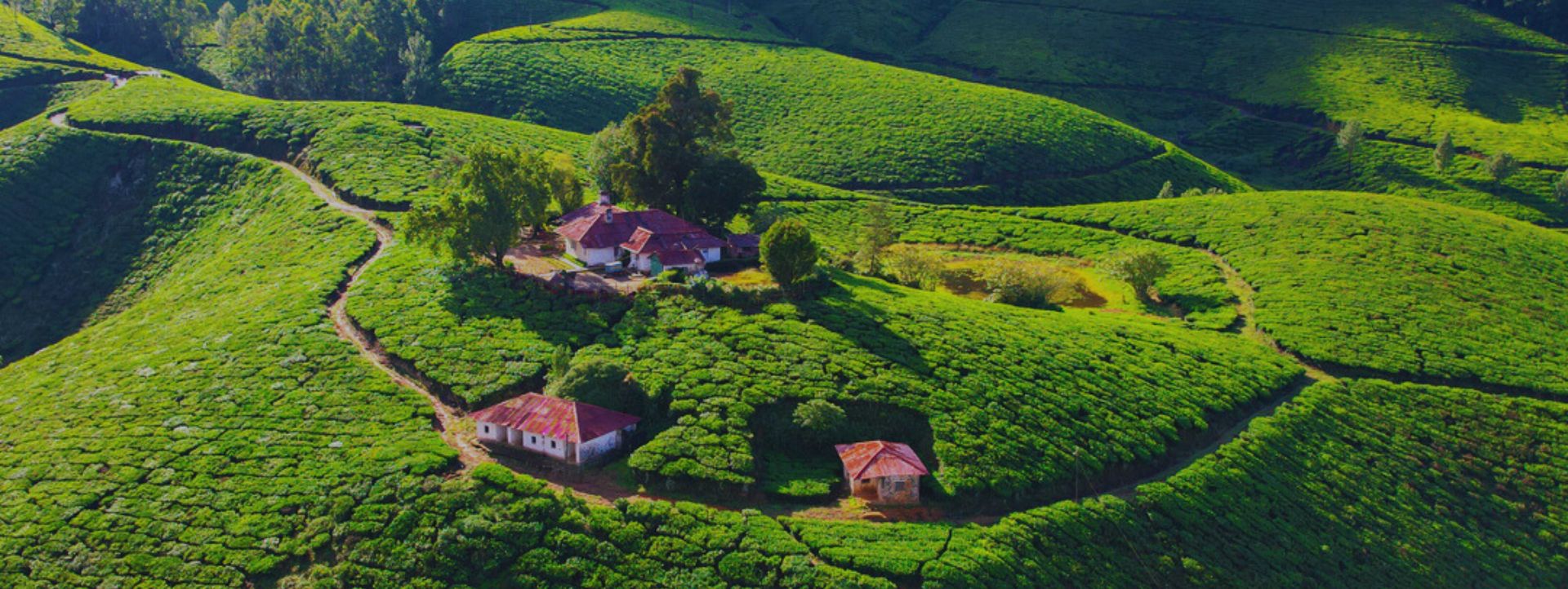 Heritage Bungalows - Feel the old world luxury!