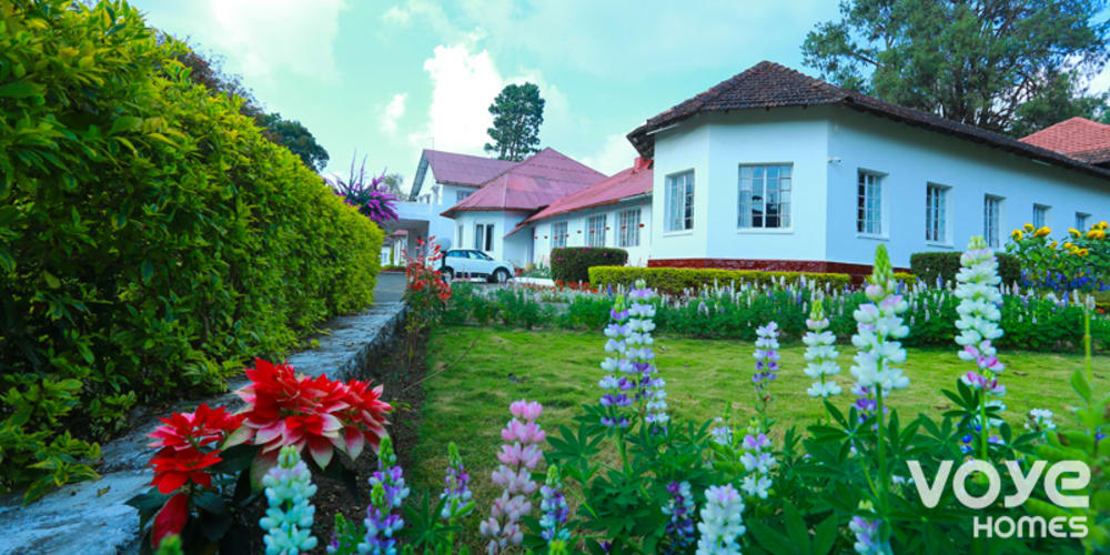 Honeymoon Resorts in Munnar