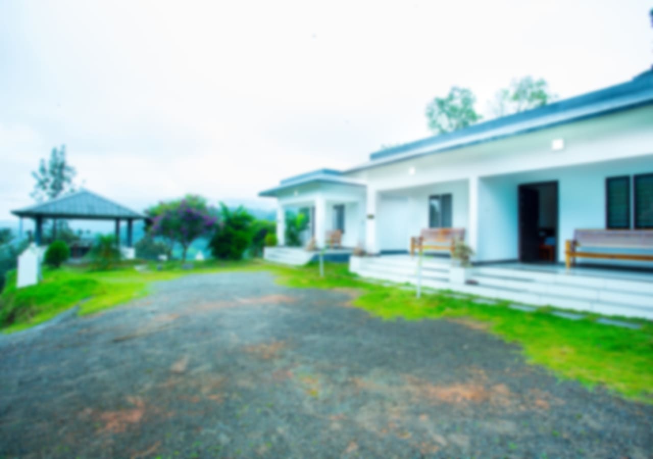 View More