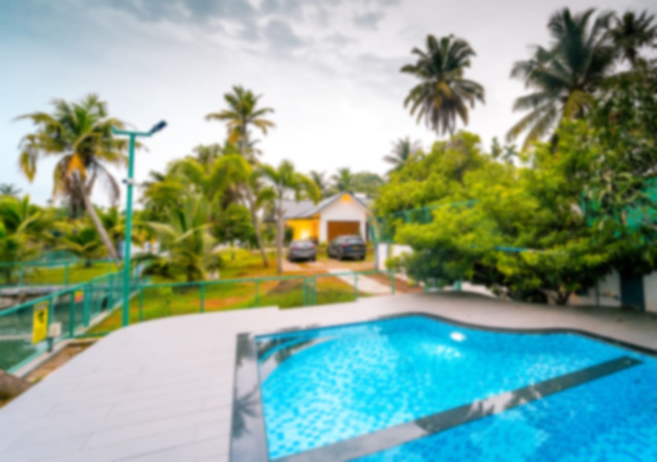 View More