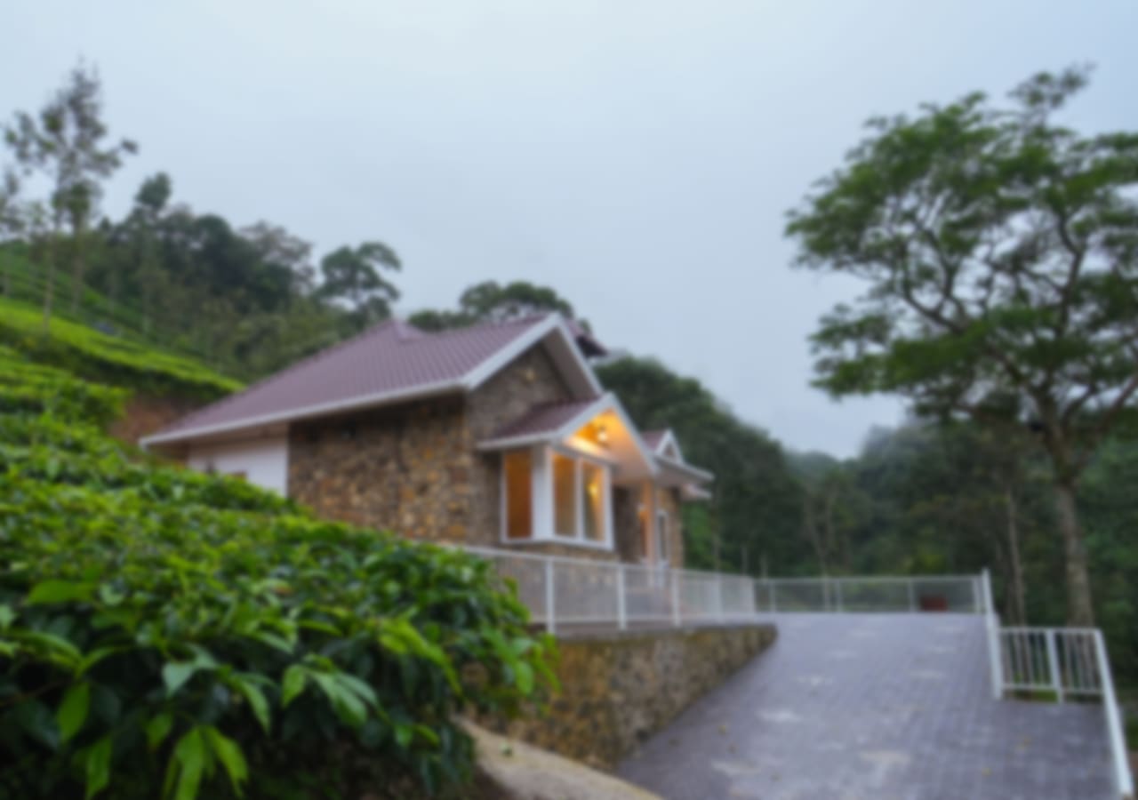 View More