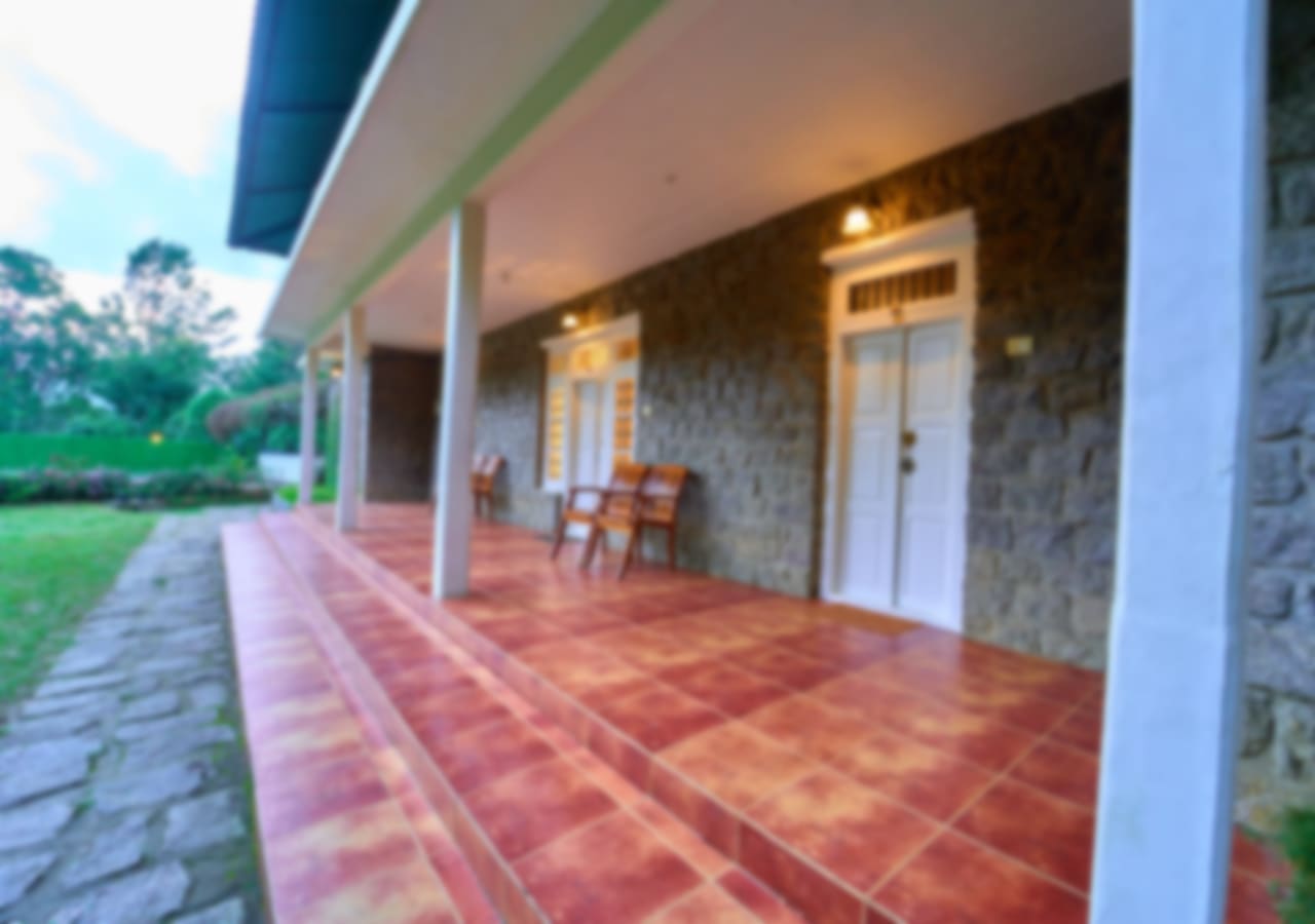 View More