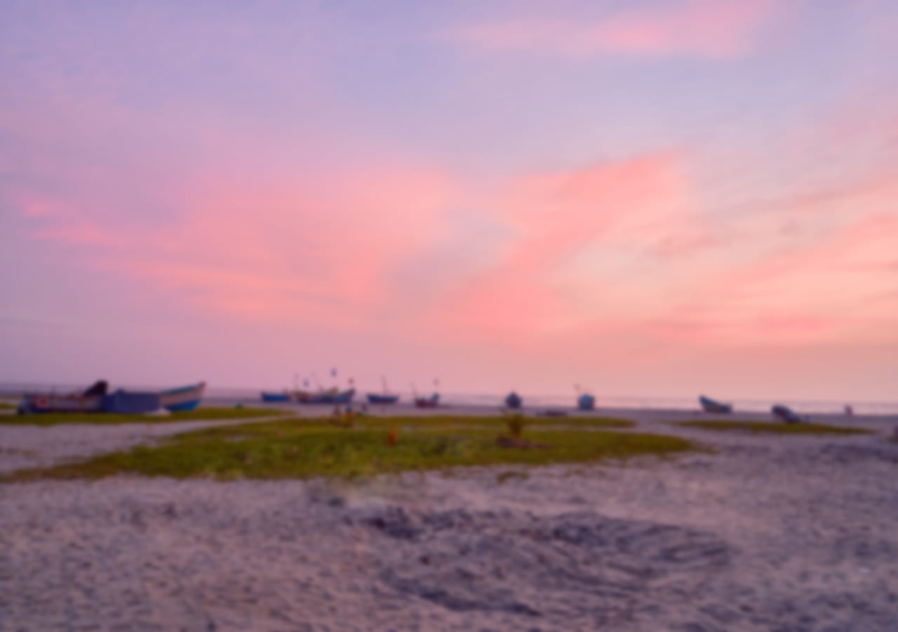 View More