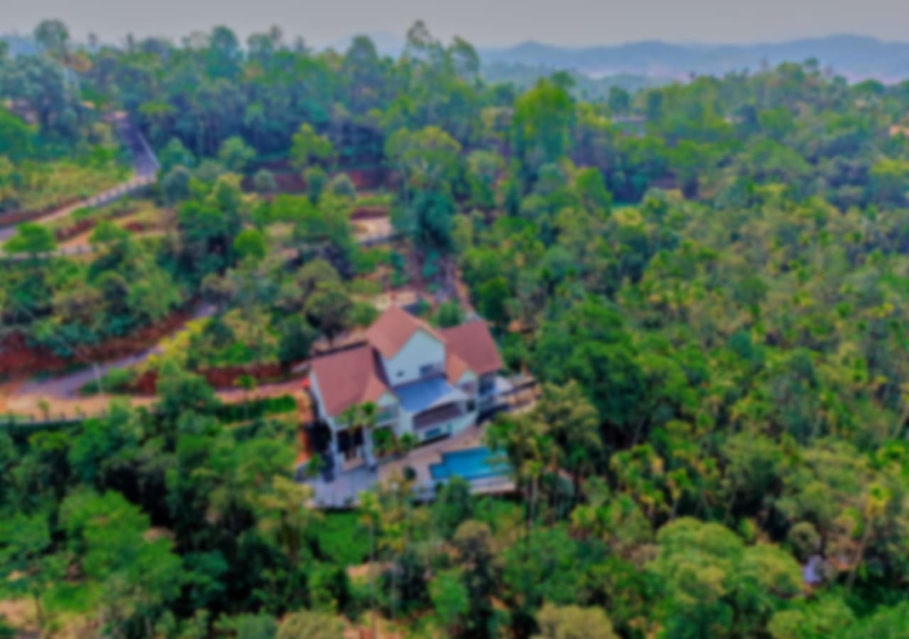View More