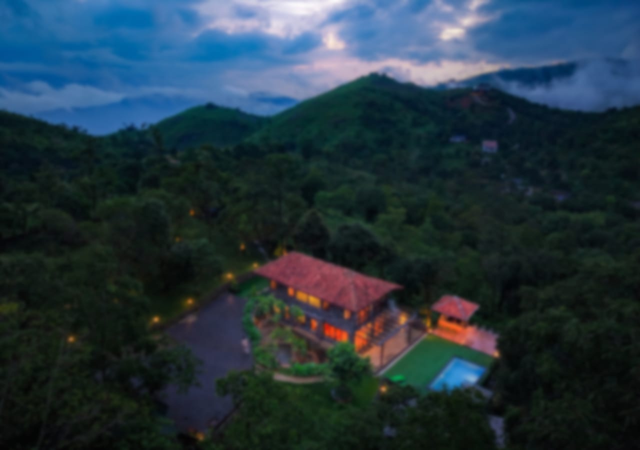 View More