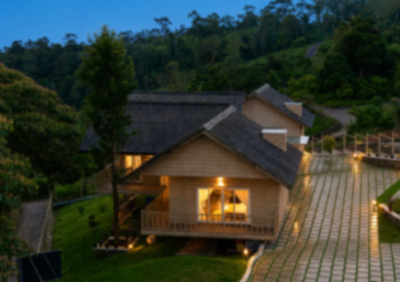 View More