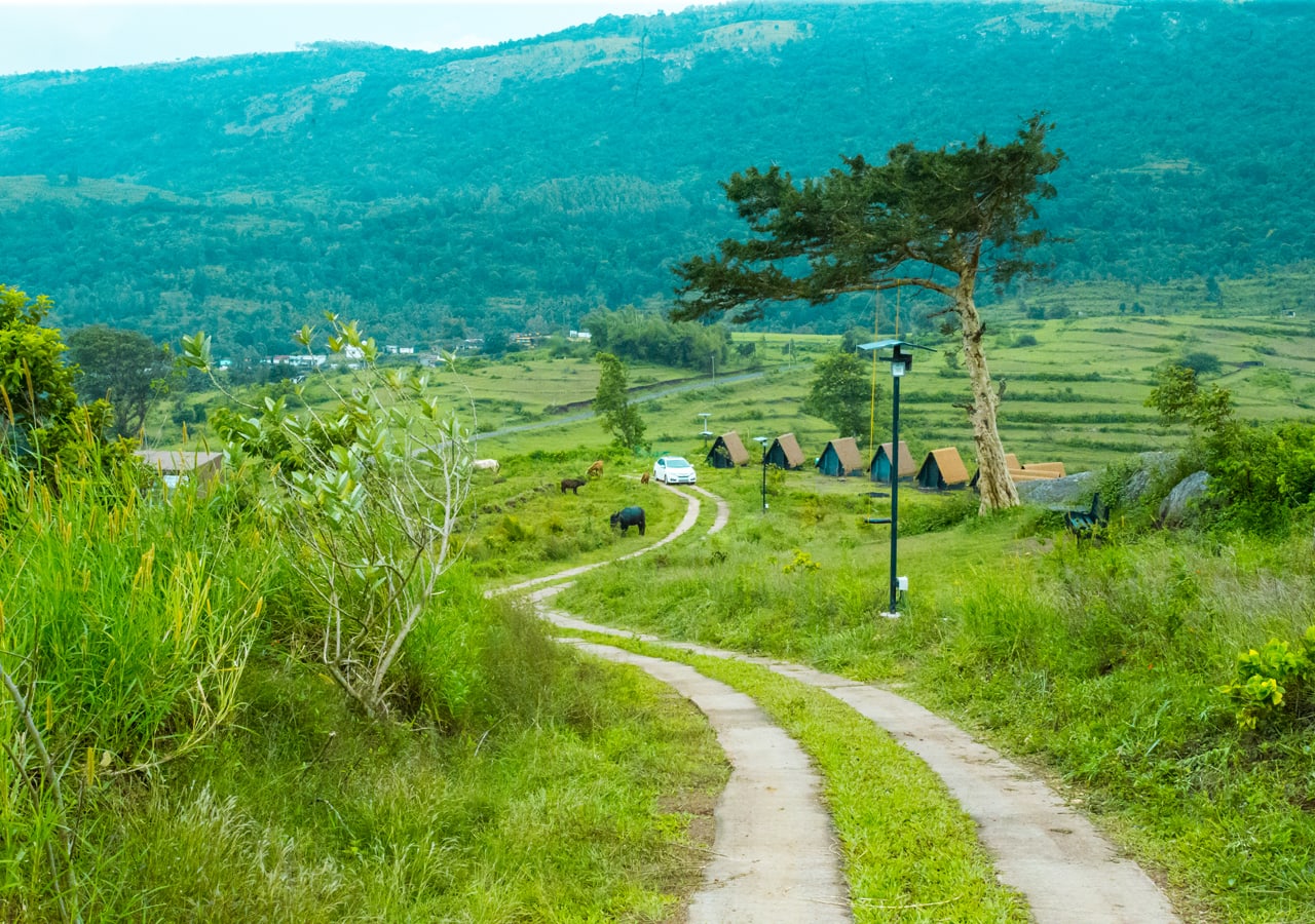 Attappadi resorts