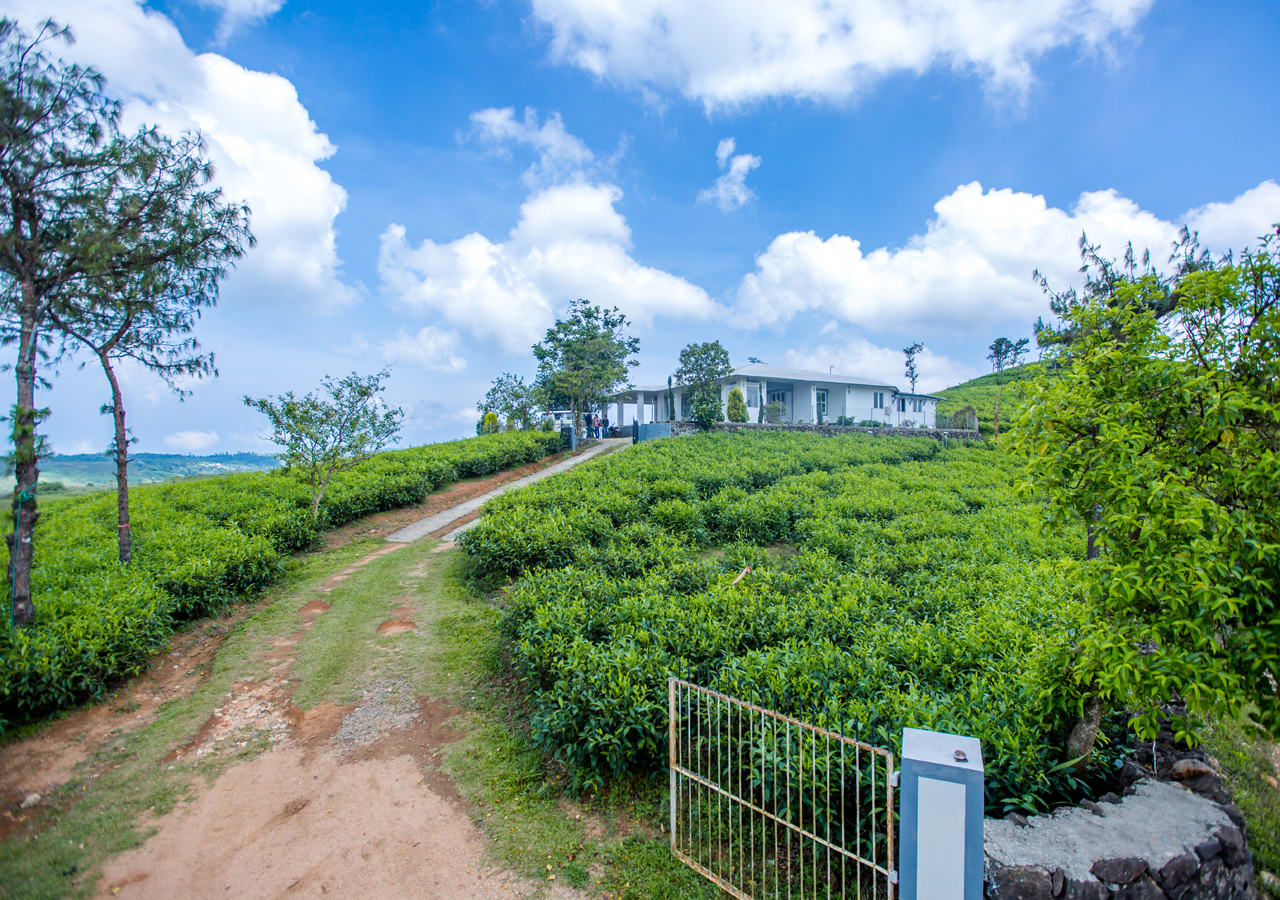 tea plantation bungalow vagamon