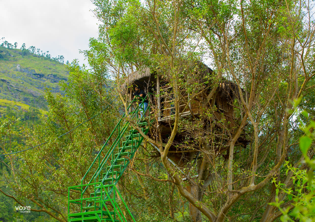 Tree house in Munnar