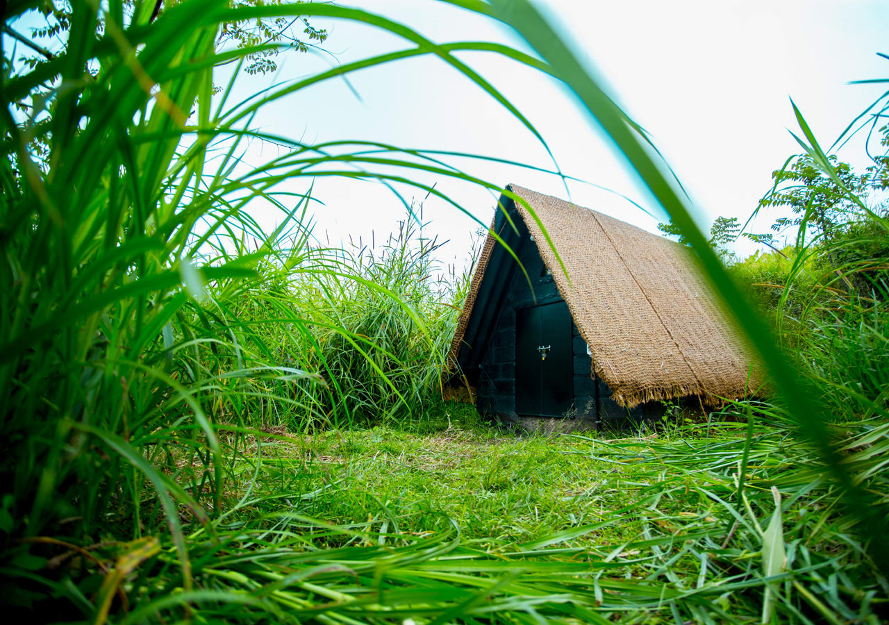 Igloo Cave House