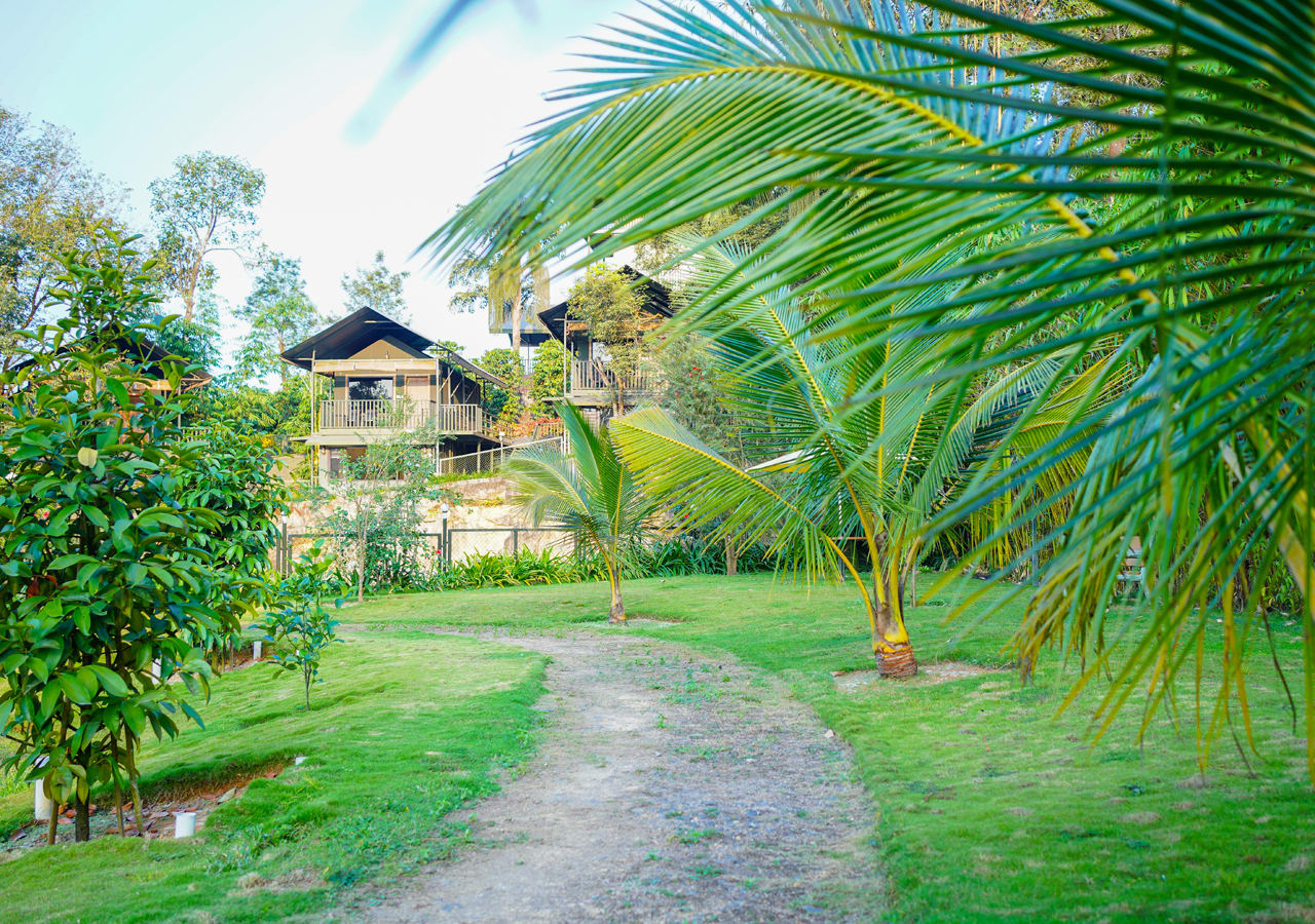 Resorts in Wayanad for Couples