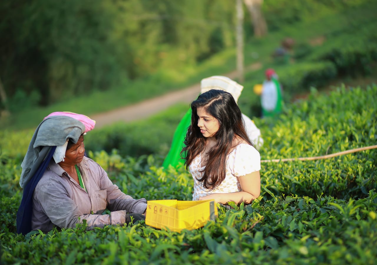 tea hills resort Munnar