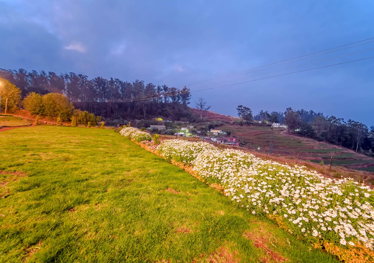 valley view resort ooty