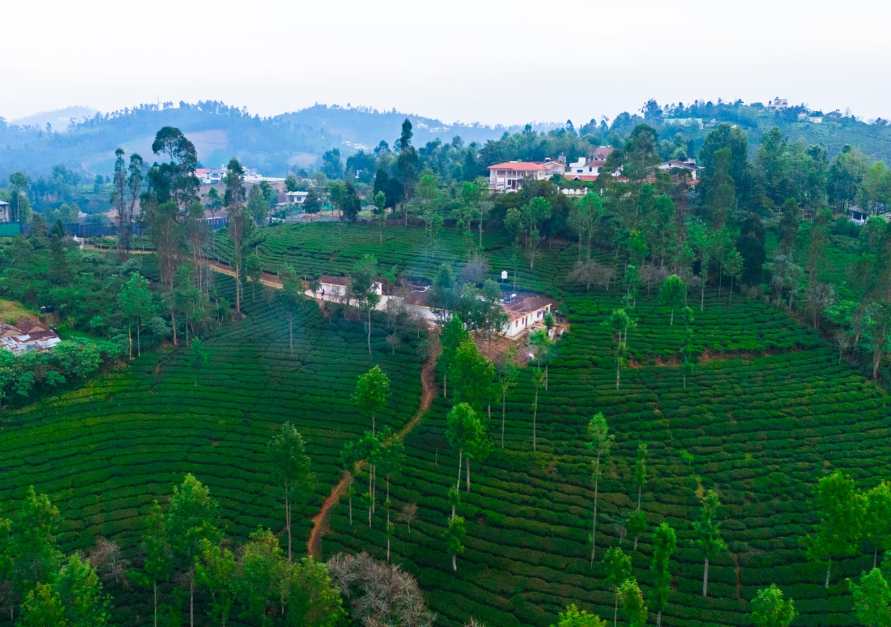  ooty bungalow stay