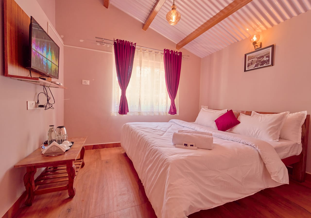 ooty tea estate stay