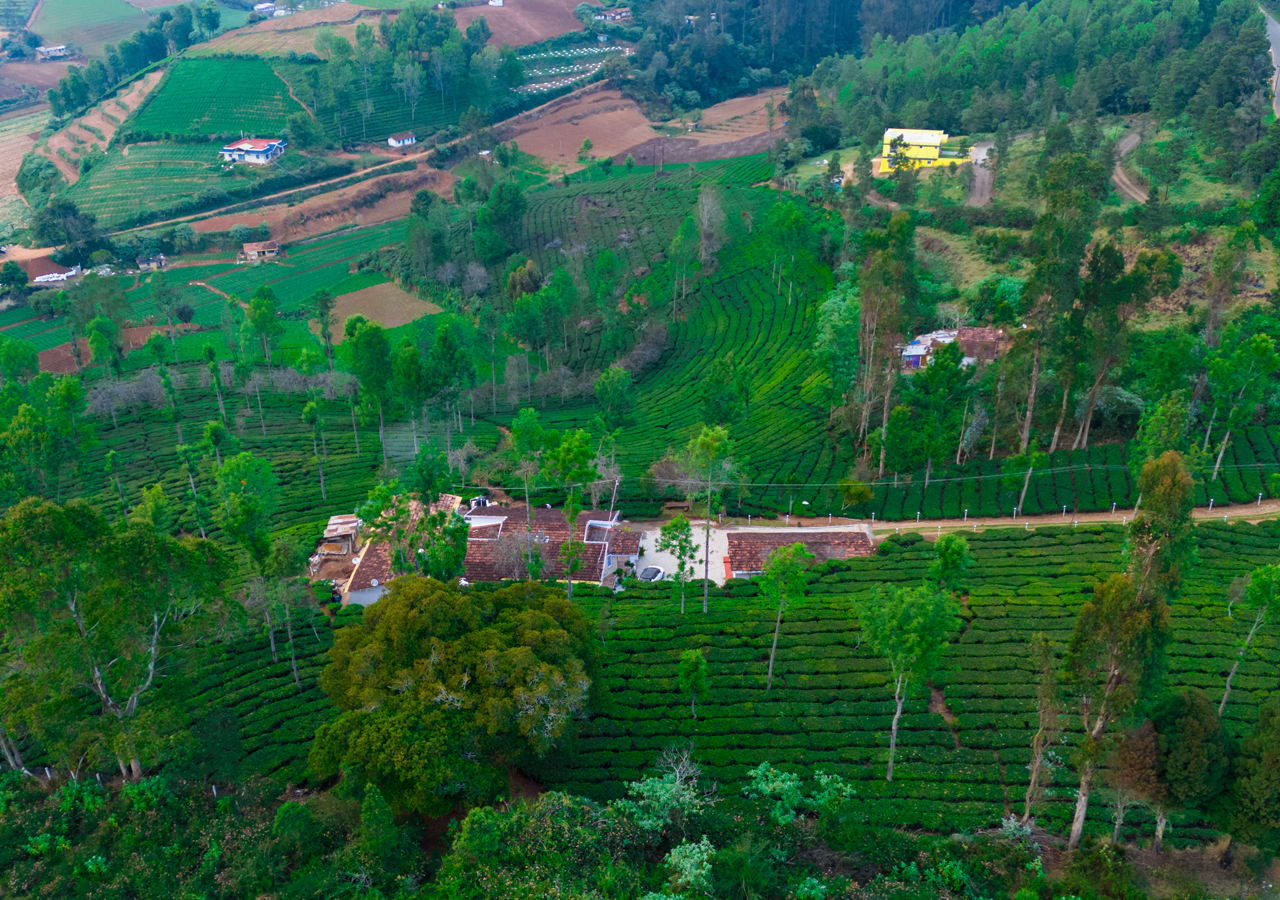  resorts in ooty town