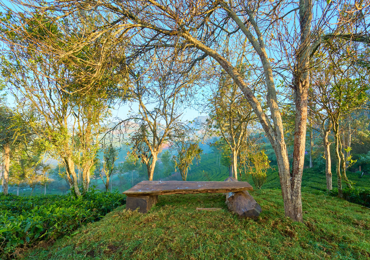  rooms in ooty for family