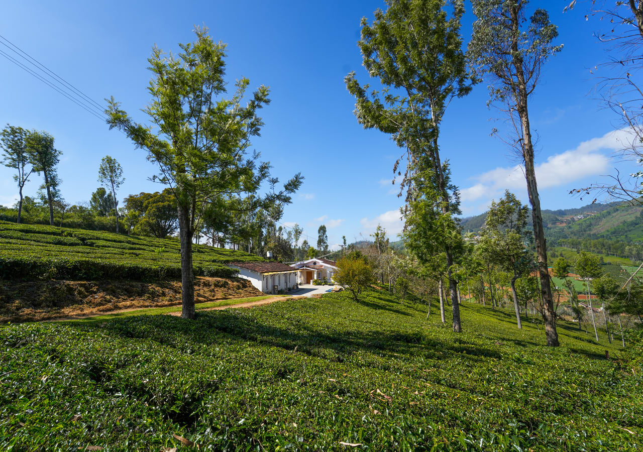 bungalow in ooty