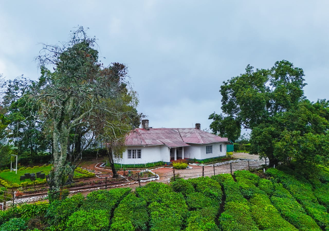 best bungalow in munnar