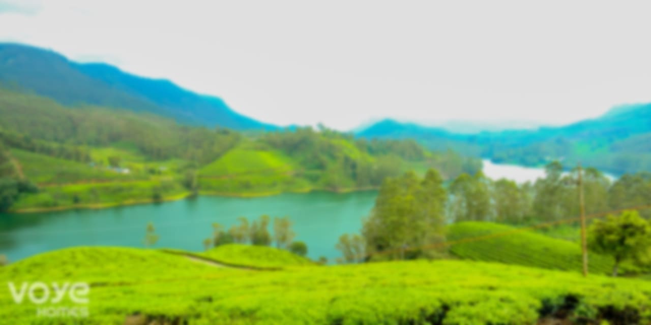 View More