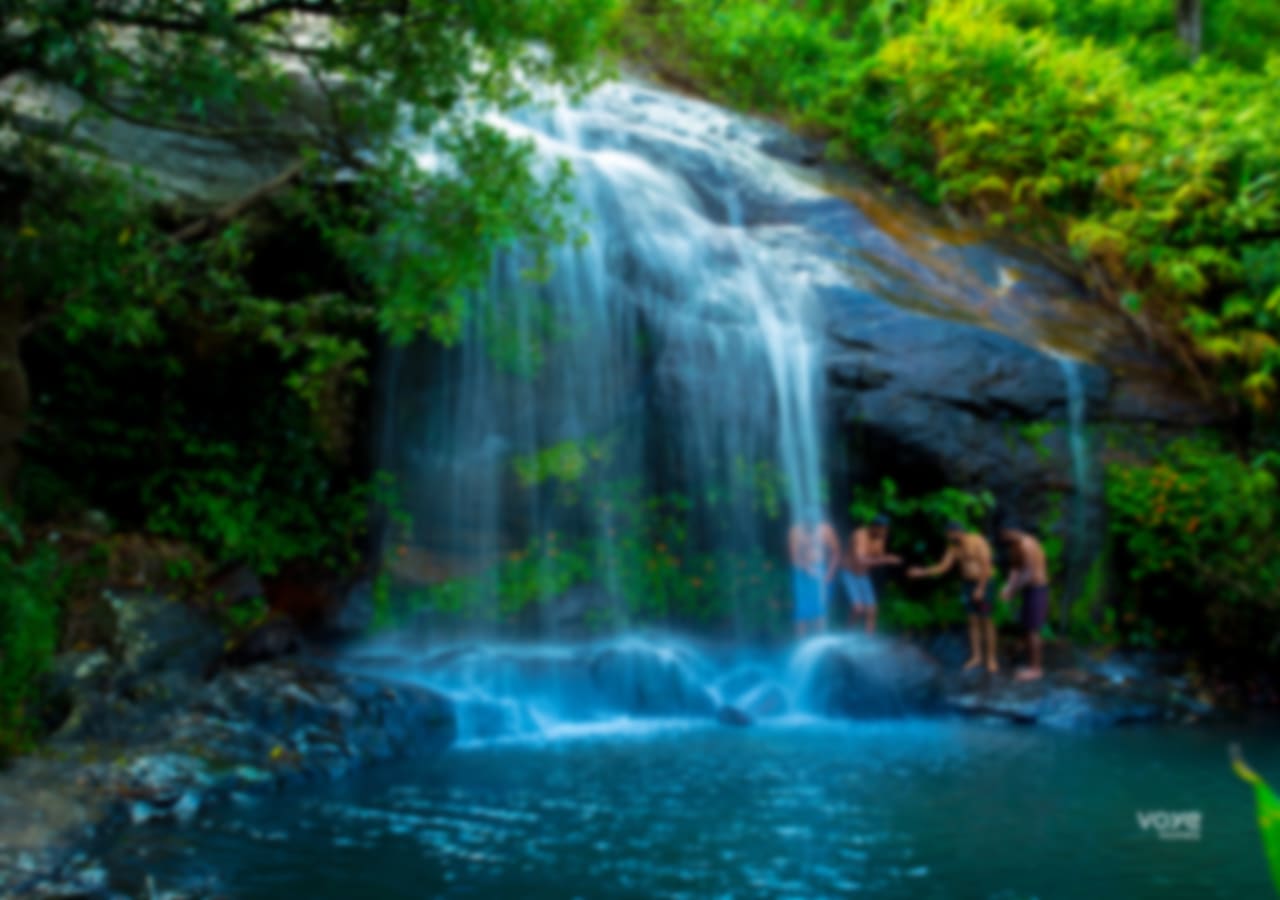 View More
