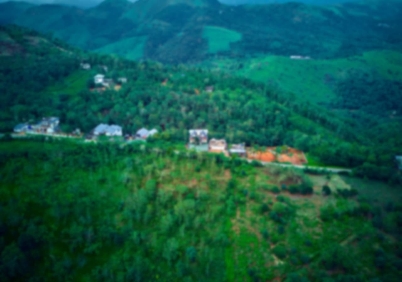 View More