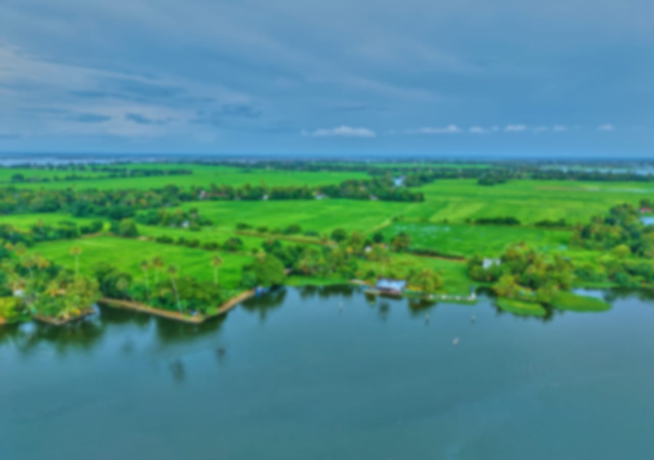 View More