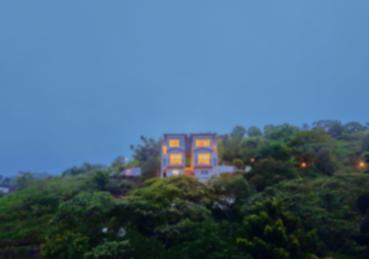 View More