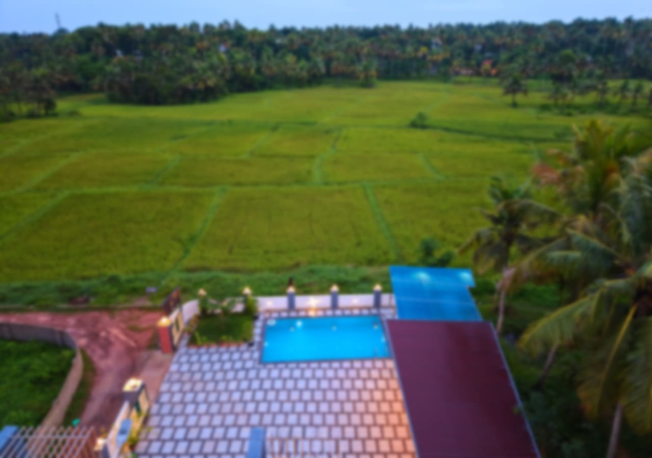 View More