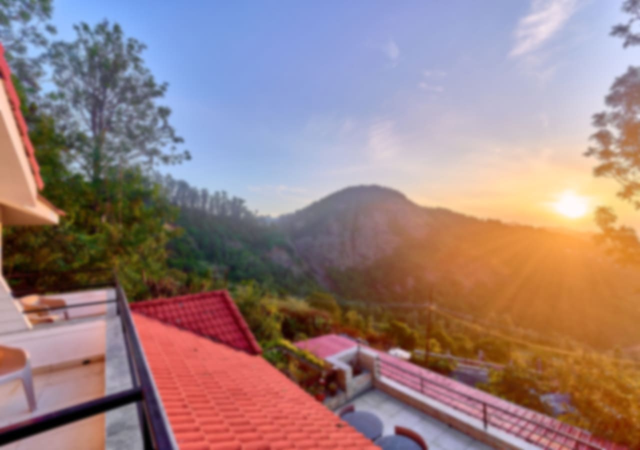 View More