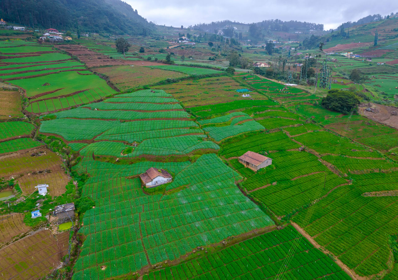 best resorts in ooty
